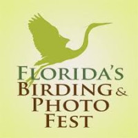 Florida's Birding & Photo Fest St. Augustine 2027